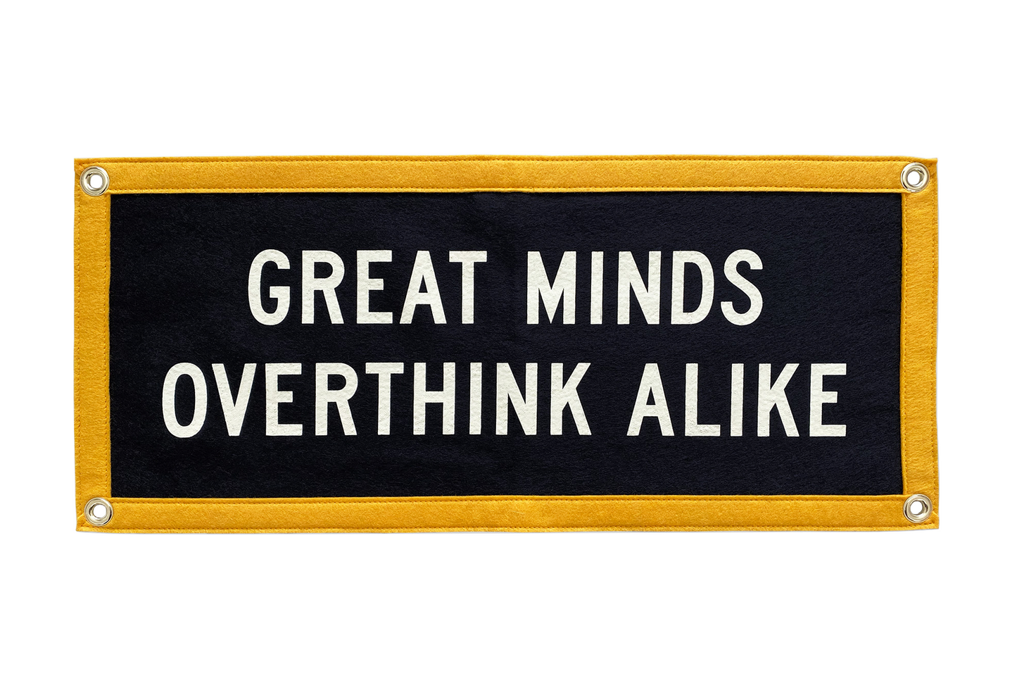 Great Minds Overthink Alike Flag by Oxford Pennant